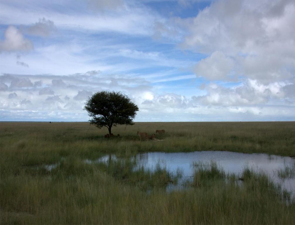 Villa Mokuti Etosha Namutoni Esterno foto