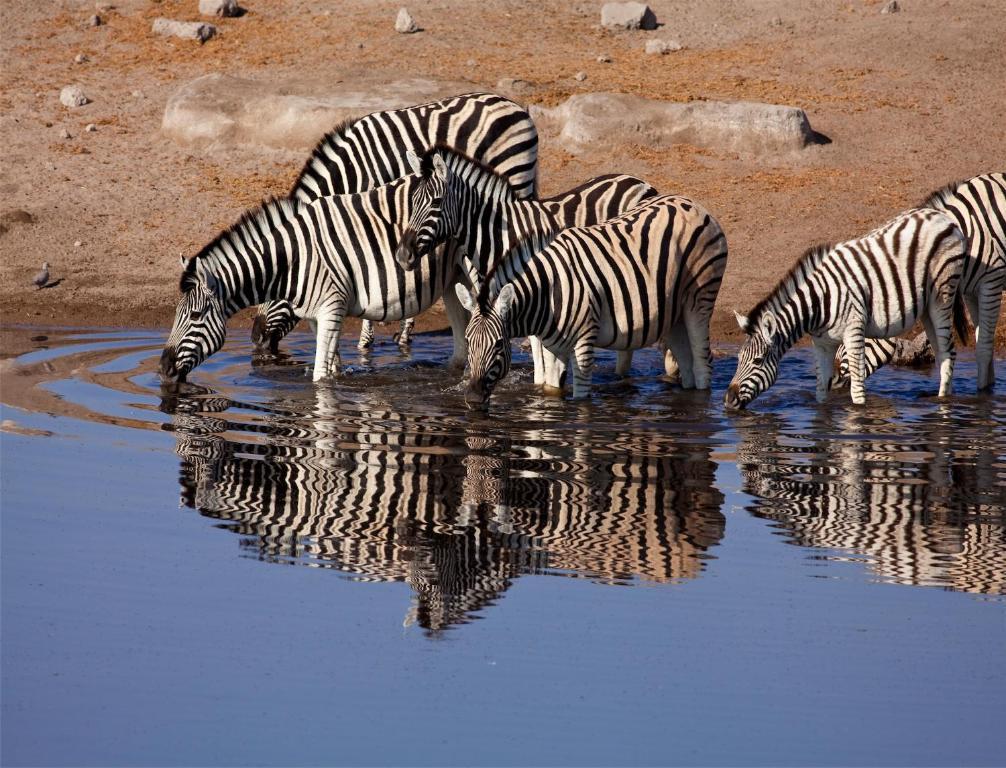 Villa Mokuti Etosha Namutoni Esterno foto